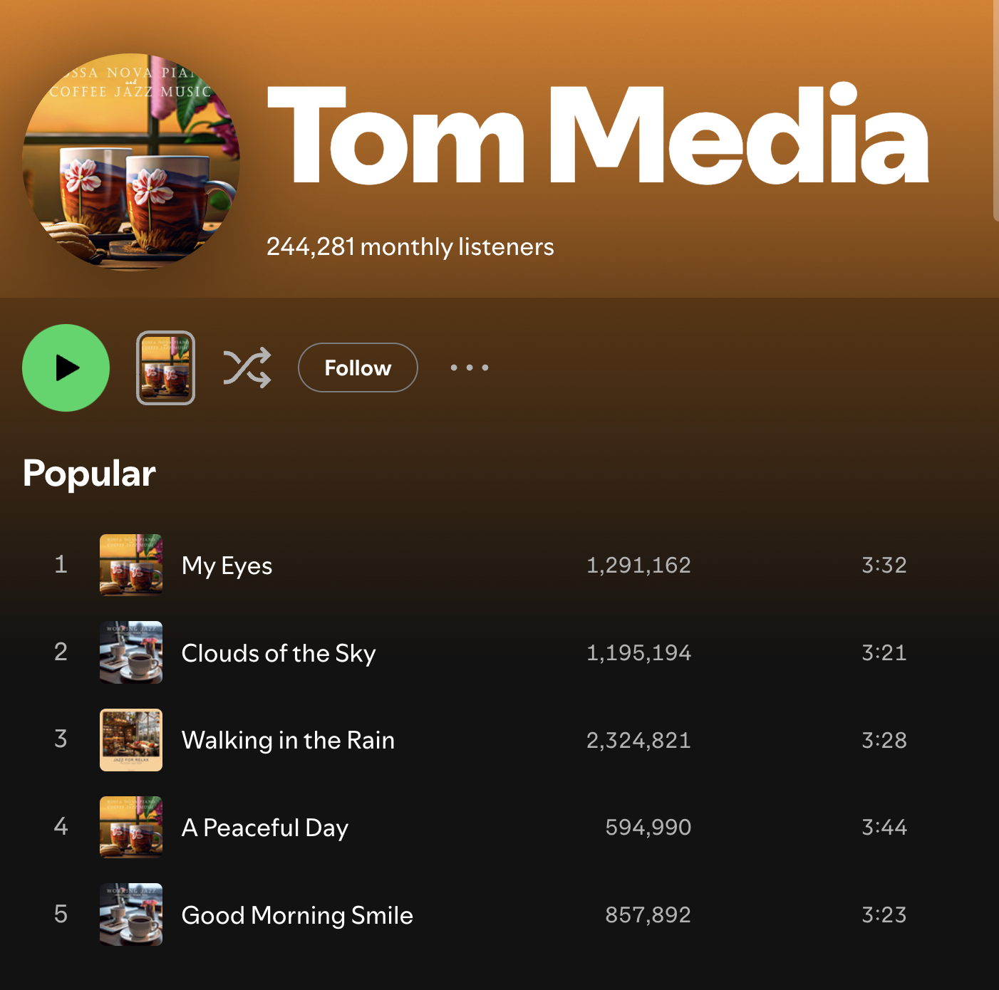 Tom Media Spotify profile preview